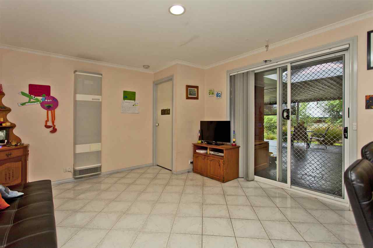 resized-2349823-edit11 kingfisher 28.JPG